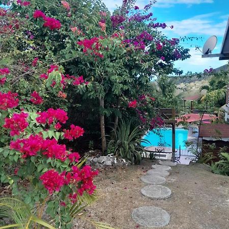 Le Diamant Charmante Villa Pour La Famille Ou Entre Amis Spa Et Piscine المظهر الخارجي الصورة